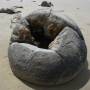 Nouvelle-Zélande - Moeraki Boulders