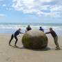 Nouvelle-Zélande - Moeraki Boulders