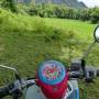 Laos - pinkman scooter