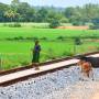 Inde - 