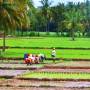 Inde - 