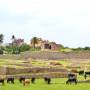 Inde - 