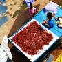 Inde - 