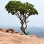 Inde - 