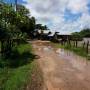 Laos - Chemin inondé par le Mékong
