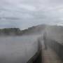 Rotorua -  hot springs - Giant...