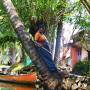 Inde - 