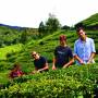 Inde - 