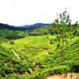 Inde - 