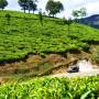 Inde - 