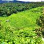 Inde - 