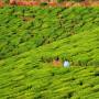 Inde - 