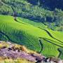 Inde - 