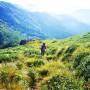 Inde - 