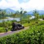 Inde - 