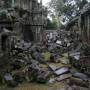 Cambodge - Ta Prohm