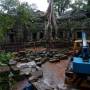 Cambodge - Ta Prohm