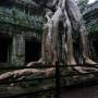 Cambodge - Ta Prohm