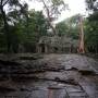 Cambodge - Ta Prohm
