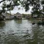 Cambodge - Forêt noyée