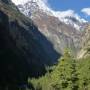 Népal - paysage durant trek