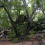 Cambodge: le village flottant de...