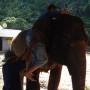 Thaïlande - comment monter sur un éléphant