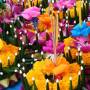 Thaïlande - les barges offrandes avec des fleurs, de l