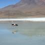 Bolivie - 