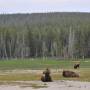 USA - Yellowstone