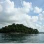 Cambodge - une petite île recouverte de jungle émergeant de l