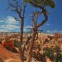 USA - Bryce Canyon