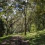 Periyar Reserve