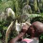 Vanuatu - nouvel Iphone : i-conque