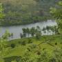 Munnar