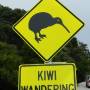 Nouvelle-Zélande - attention, traversée de Kiwis