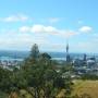 Nouvelle-Zélande - vue sur la city depuis le cratère du mont Eden