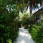 Maldives - 