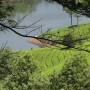 Inde - 