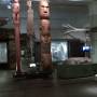 Nouvelle-Zélande - AUCKLAND - Musée de la guerre