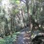 Springbrook national park