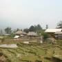 Viêt Nam - village et rizières