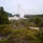 Nouvelle-Zélande - ROTORUA - parc Tehokowhitu-a-tu