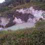 Nouvelle-Zélande - ROTUROA - parc Wai-o-tapu