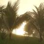 Indonésie - lever de soleil dans les palmiers