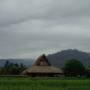 Indonésie - mon petit bungalow au milieu des rizieres