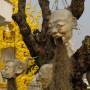 Le Wat Rong Khun ou Temple blanc...