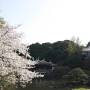 Japon - 