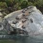 Milford Sound