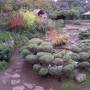 Chili - SANTIAGO - jardin japonais
